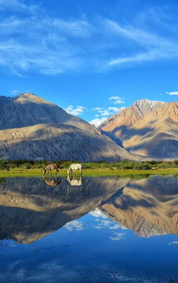 Leh Nubra Pangong Classic Tour